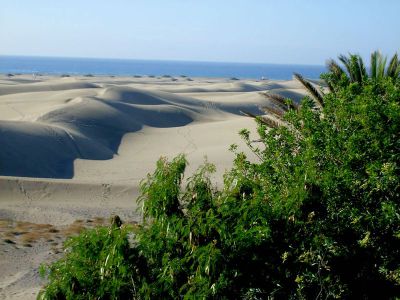 Gran Canaria Ferienwohnung G-085 Dünen