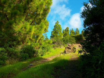 P-191 Ferienhaus La Palma Wanderweg