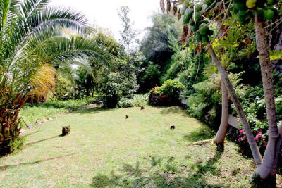 Finca Teneriffa TFN-137 Garten mit Wiese