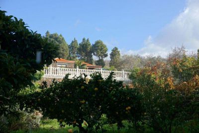 Ferienhaus La Palma Puntagorda P-209 Blick aufs Haus