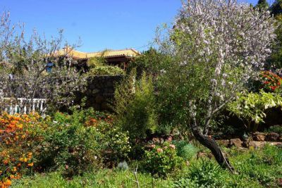 Ferienhaus La Palma Puntagorda P-209 Blick in den Garten