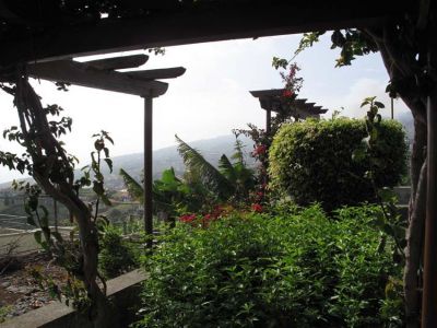 MAD-050 Ferienhaus Madeira Blick in den Garten