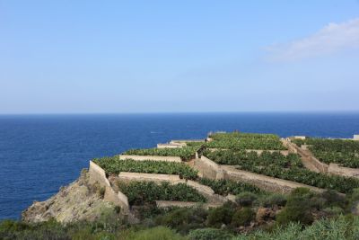 Küste bei Santo Domingo auf Teneriffa