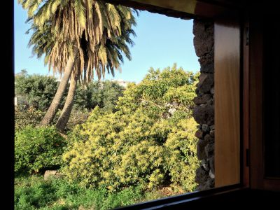 G-137 Finca Gran Canaria Blick aus dem Fenster