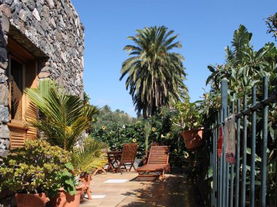 G-137 Finca Gran Canaria Terrasse mit Palmen