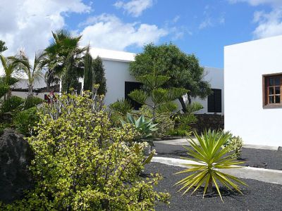 L-169 Ferienhaus Lanzarote Garten