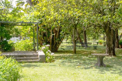 G-228 Finca Gran Canaria Garten mit altem Baumbestand