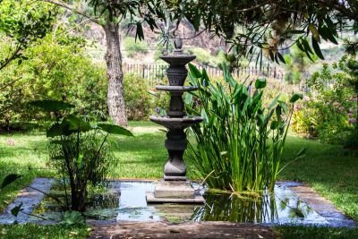 G-228 Finca Gran Canaria Gartenteich mit Säule