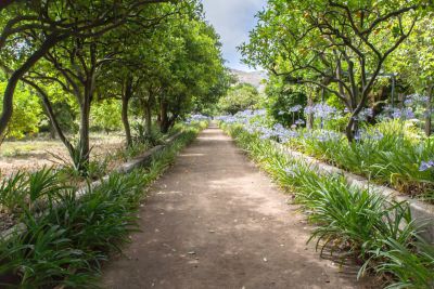 G-228 Finca Gran Canaria Garten mit Zufahrtsweg