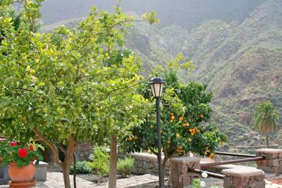 G-222 Finca Gran Canaria Garten mit Obstbäumen