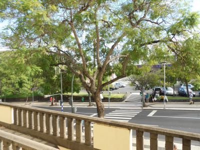 Ruhige Ferienwohnung in Funchal