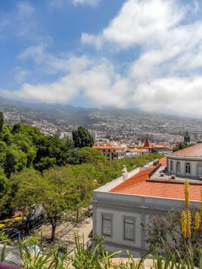 MAD-114 Ferienwohnung in Funchal Blick auf die Stadt