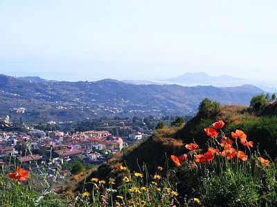 Finca Gran Canaria G-200 Umgebung Bild 4