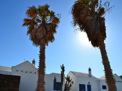 Lanzarote - Ferienwohnung Hausansicht mit Palme L-166