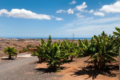 G-099 Moderne Villa Gran Canaria Garten