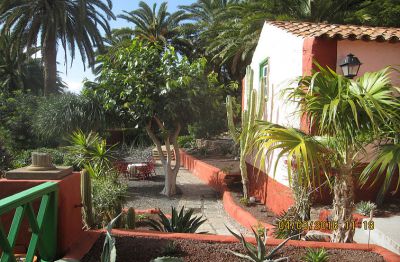 Finca Gran Canaria inmitten eines Palmenhains bei Agaete