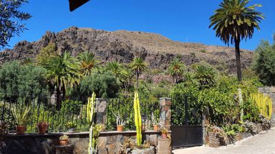 G-136 Finca Gran Canaria Garten Bild 2