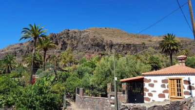 G-136 Finca Gran Canaria Garten und Haus