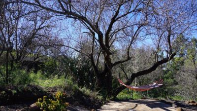 Finca La Palma Garten mit Hängematte P-202