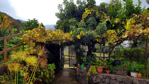 Finca Gran Canaria im Wandergebiet - Garten G-240