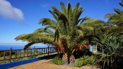 Ferienhaus La Palma mit Garten Bild 1 P-200