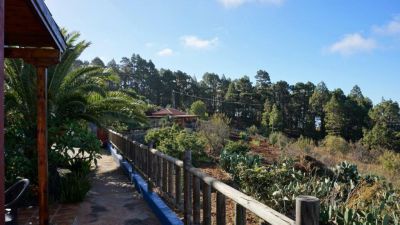 P-200 Ferienhaus La Palma Blick in die Umgebung 3