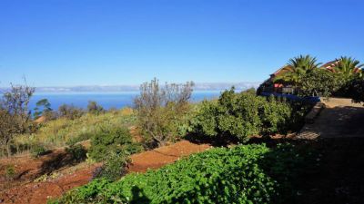 P-200 Ferienhaus La Palma Blick in die Umgebung 1