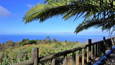 P-200 Ferienhaus La Palma Blick in die Umgebung 4