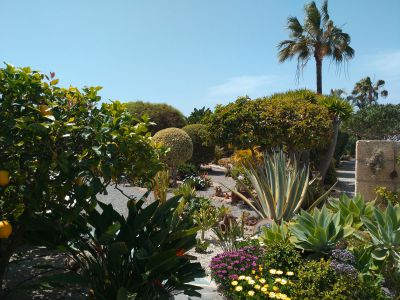 Garten kleines Ferienhaus Teneriffa großer Garten TFN-160