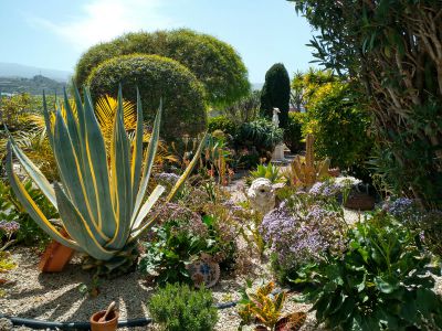 Garten Ferienhaus TFN-160 auf Teneriffa