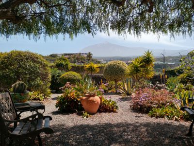 Garten kleines Ferienhaus Teneriffa Blick von der Terrasse TFN-160