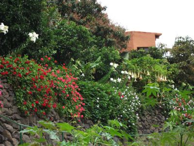 Finca La Gomera Hermigua GO-126 / Haus und Garten