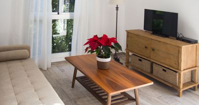 Wohnraum mit Couch und SAT-TV Bild 2