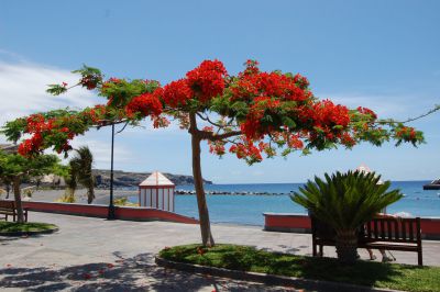 Playa San Juan Promenade