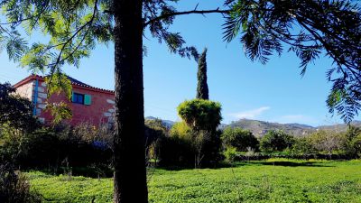 Gran Canaria - Biologische Finca G-235 - Garten Bild 5