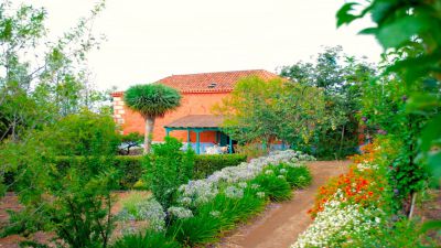 Gran Canaria - Biologische Finca G-235 - Garten Bild 6