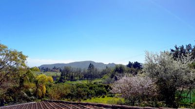 Gran Canaria Finca G-232 Garten mit Blick in die Umgebung 5