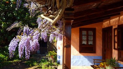 Biologische Finca mit Pool Gran Canaria überdachte Veranda