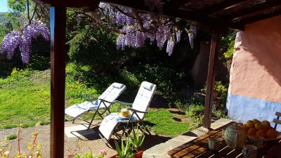 Gran Canaria Finca G-232 Veranda und Garten mit Sonnenliegen