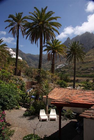 Terrasse mit Palmen Finca G-147 in Agaete