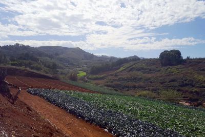 Gran Canaria 245 Ferienhaus für Naturliebhaber - Umgebung