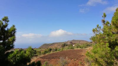 P-204 Ferienhaus La Palma in Alleinlage - Umgebung