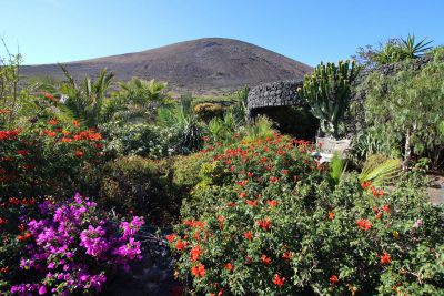 Ferienhaus L-068 Lanzarote Garten Bild 6