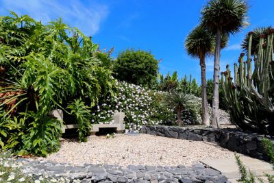 Ferienhaus In Playa San Juan TFS-064 - Garten 2