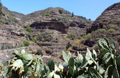 Gran Canaria - Finca G-224 Umgebung