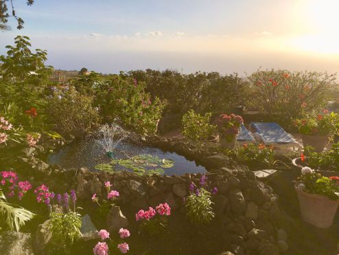 Private Finca La Palma mit Seerosenteich und Sonnenliegen / P - 060