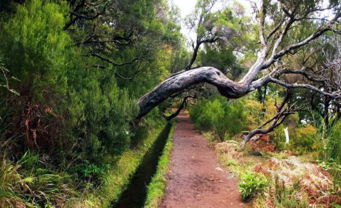 Ferienwohnung Madeira Wanderungen