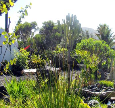 Garten vor dem Ferienhaus