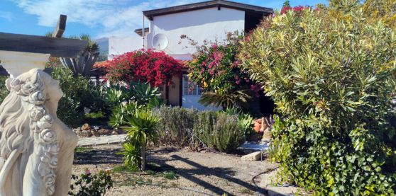 TFN - 193 Ferienwohnung Teneriffa Gartenbereich 