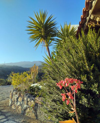 TFS - 192 Finca Ferienhaus - Garten